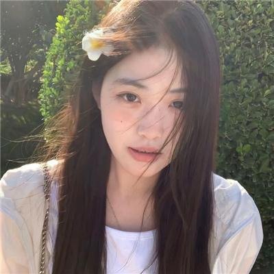 美丽的岛屿