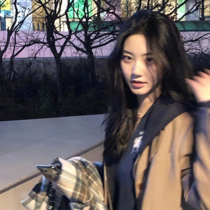 少女情怀总是挛
