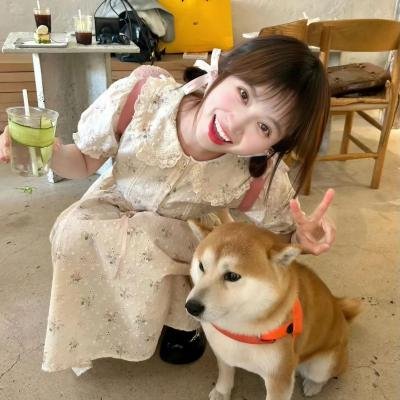 红宝石玫瑰的故事
